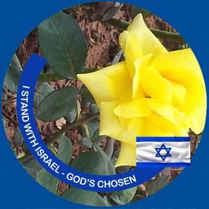 Meet your Posher, Merilyn